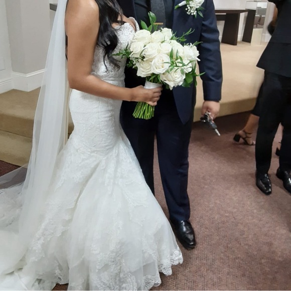 Pronovias Imelda Wedding Gown - Picture 11 of 16